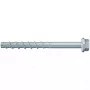 Βίδα Fischer 536855 100 mm