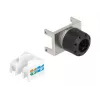 Μονάδα Keystone RJ45 θηλυκό σε LSA DeLOCK 87036