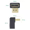 InLine Προσαρμογέας DisplayPort, αρσενικό / θηλυκή γωνιακός προς τα κάτω
