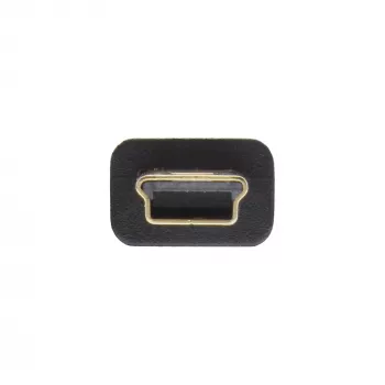InLine Επίπεδο καλώδιο USB 2.0 USB Type-A αρσενικό / Mini-B αρσενικό 5-πολικό μαύρο/χρυσό 2m