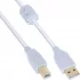InLine Καλώδιο USB 2.0 Type-A αρσενικό / B αρσενικό, επιχρυσωμένο, με ferrite, λευκό, 0,5 m