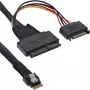 InLine λεπτό καλώδιο SAS, SFF-8654 σε U.2 SFF-8639 + τροφοδοσία SATA, 24Gb/s, 1m