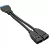 InLine USB 3.0 καλώδιο προσαρμογέα εσωτερικό 2x USB Type-A υποδοχή / header motherboard