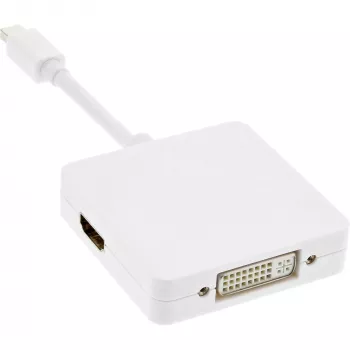 InLine καλώδιο προσαρμογέα Mini DisplayPort σε HDMI DVI DisplayPort 17195I