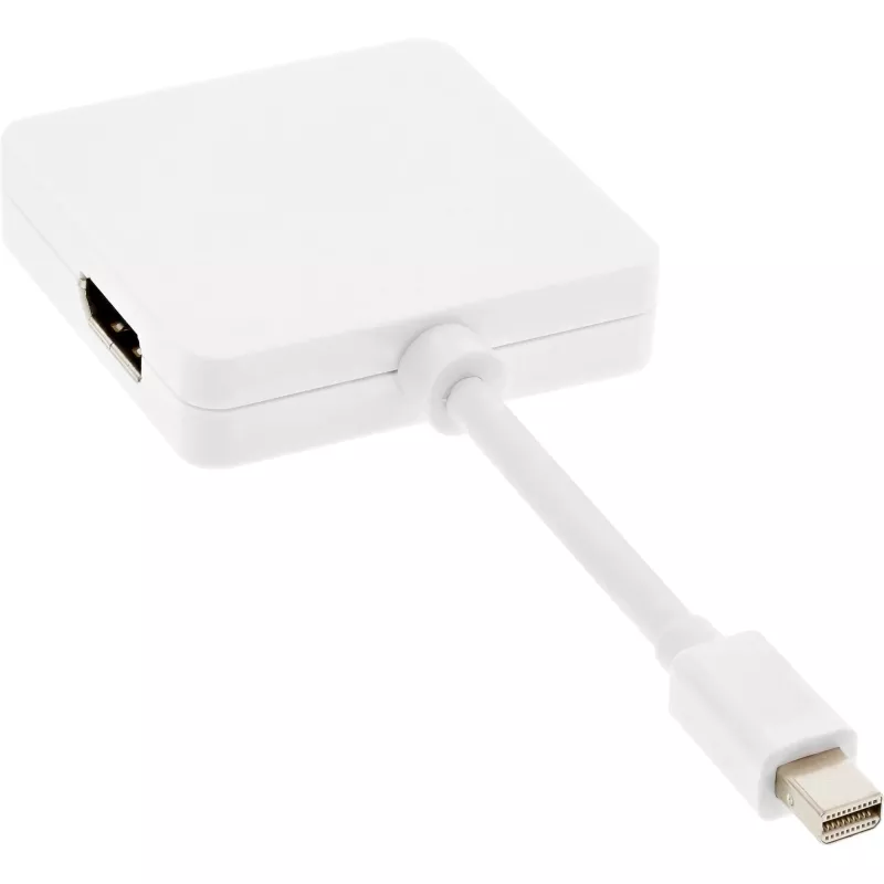 InLine καλώδιο προσαρμογέα Mini DisplayPort σε HDMI DVI DisplayPort 17195I