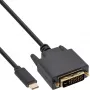 Καλώδιο οθόνης USB InLine, USB-C βύσμα / DVI βύσμα (DP Alt Mode), μαύρο, 1 m