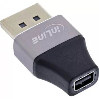 InLine 17291B Καλώδιο προσαρμογέα DisplayPort Mini DisplayPort μαύρο, γκρι