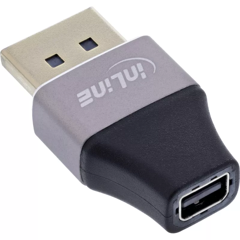 InLine 17291B Καλώδιο προσαρμογέα DisplayPort Mini DisplayPort μαύρο, γκρι