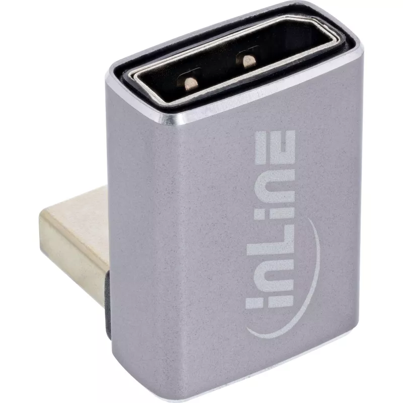 InLine 17291F Προσαρμογέας DisplayPort Mini DisplayPort γκρι μαύρο