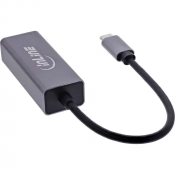 InLine 33380Q Προσαρμογέας RJ-45 USB Type-C αρσενικό 1 Gbit/s Γκρι