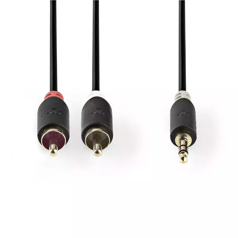 Καλώδιο ήχου Nedis CABW22200AT10 1m 3,5mm 2xRCA Ανθρακί