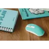 Ποντίκι Canyon CNS-CMSW18A RF Wireless οπτικό