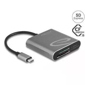 Αναγνώστης καρτών DeLOCK 91000 USB 3.2 Gen 2 Type-C γκρι CFexpress SD