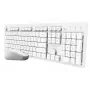Trust Ody II πληκτρολόγιο ποντίκι περιλαμβάνεται Home/Office RF Wireless γερμανικό λευκό