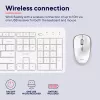 Trust Ody II πληκτρολόγιο ποντίκι περιλαμβάνεται Home/Office RF Wireless γερμανικό λευκό
