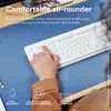 Trust Ody II πληκτρολόγιο ποντίκι περιλαμβάνεται Home/Office RF Wireless γερμανικό λευκό