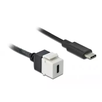 Keystone-Modul DeLOCK 86399 Επίπεδο μαύρο λευκό USB C