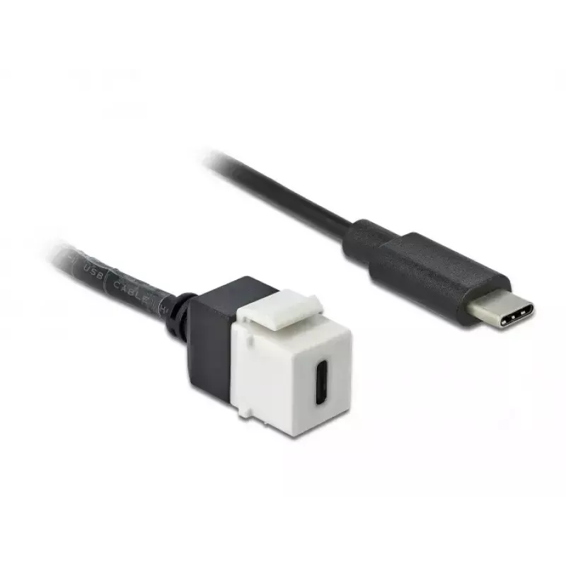 Keystone-Modul DeLOCK 86399 Επίπεδο μαύρο λευκό USB C