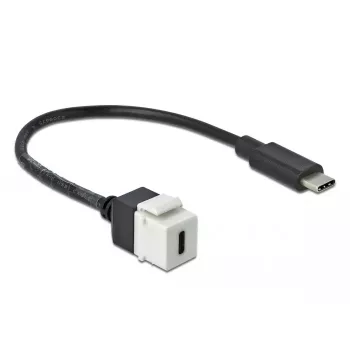 Keystone-Modul DeLOCK 86399 Επίπεδο μαύρο λευκό USB C
