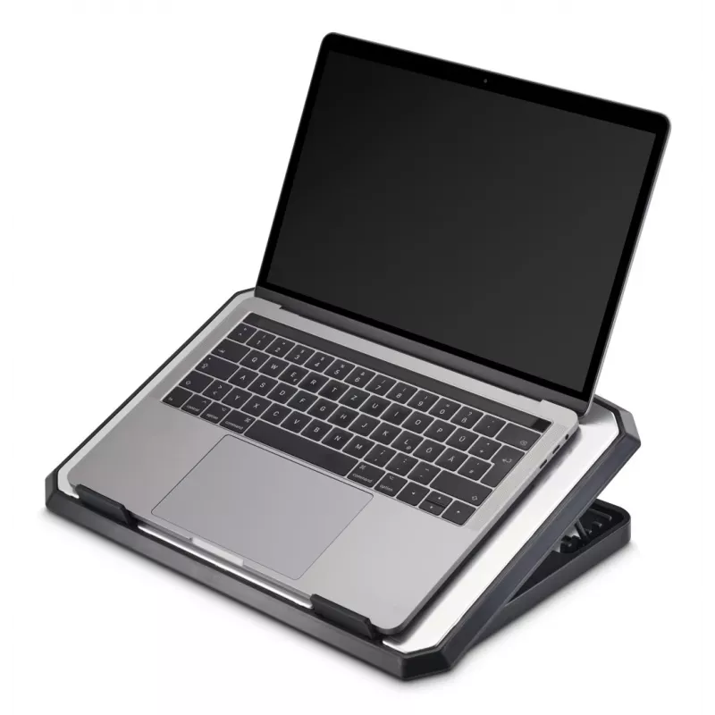 Hama 00126807 βάση ψύξης laptop από αλουμίνιο, ρυθμιζόμενης κλίσης, 2 ανεμιστήρες, έως 39,6 cm (15,6 ίντσες), μαύρη
