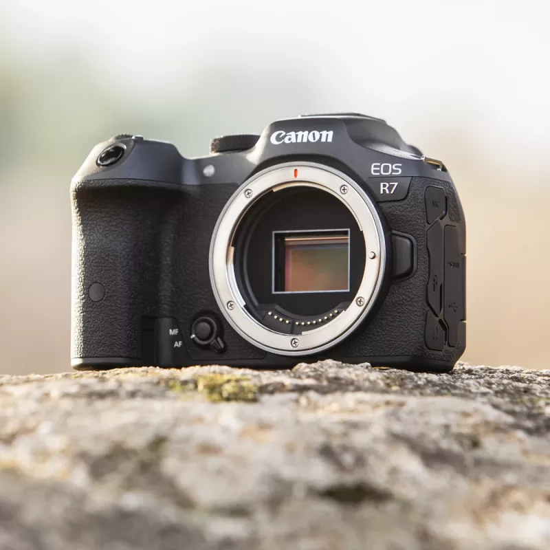 Canon EOS R7 MILC κουτί 32,5 MP CMOS 6960 x 4640 pixel μαύρο