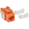 Intellinet Keystone Jack, Cat6, UTP, Punch-down, πορτοκαλί