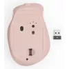 Hama WM-500 Ποντίκι Γραφείου Δεξιόχειρας RF Wireless Οπτικό 1600 DPI