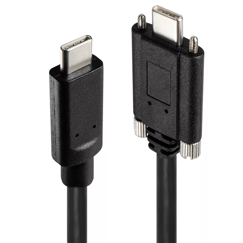 USB Hub Lindy 4 Port USB 3.2 Gen 2 Type-C μεταλλικό hub