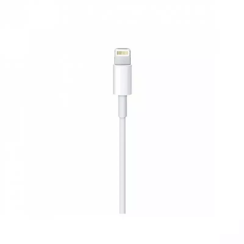 Καλώδιο Apple Lightning σε USB-C (2 m) MKQ42ZM/A