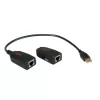 Extender USB 2.0 ROLINE 12.04.1100