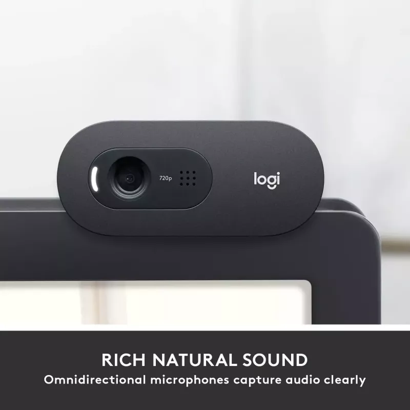 Webcam Logitech C505 HD 1280x720 USB μαύρο