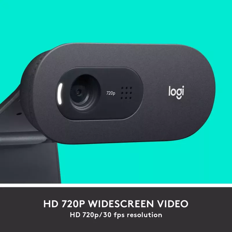 Webcam Logitech C505 HD 1280x720 USB μαύρο