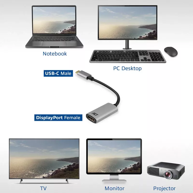 Προσαρμογέας USB-C σε DisplayPort ACT AC7030