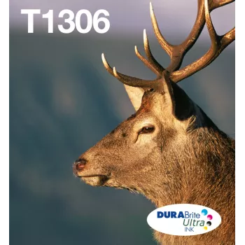 Πολλαπλή συσκευασία μελανοταινιών Epson T1306 DURABrite Ultra 3 χρωμάτων (cyan, magenta, κίτρινο) υψηλή (XL) απόδοση, 3 τεμ.