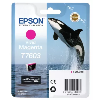 Δοχείο μελανιού Epson T7603 ματζέντα