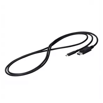 EIZO CP200-BK Καλώδιο DisplayPort 2 m USB Type-C Μαύρο