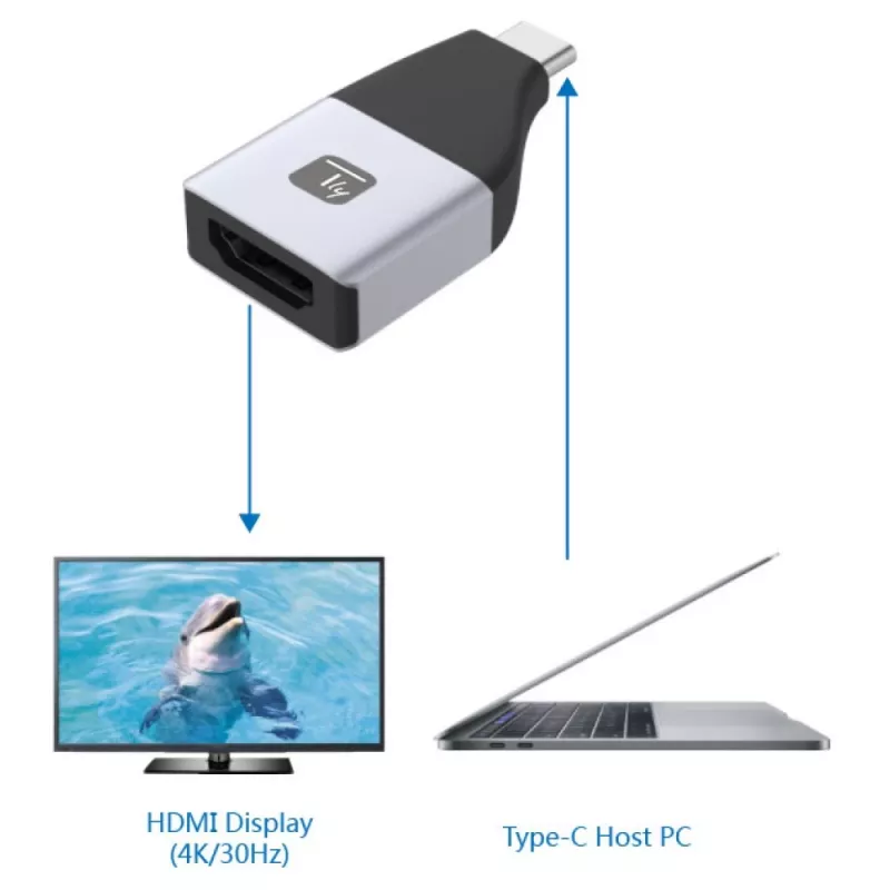 Techly IADAP-USBC-HDMI4K αντάπτορας USB-C σε HDMI, USB-C αρσενικό 24 ακίδων σε HDMI θηλυκό, 4K (3840 x 2160), μαύρο, ασημί