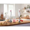 Ραβδομπλέντερ Bosch MSM24500 400 W κόκκινο, λευκό