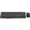 InLine Basic Desktop II, Σετ πληκτρολογίου-ποντικιού, Καλώδιο USB, Standard DE-Layout