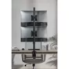 InLine βάση γραφείου για 2x TV/LED/TFT οθόνη έως 81cm 32 ίντσες μέγ. 9kg