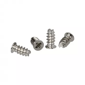 InLine Βίδες ανεμιστήρα 5,0x10,0mm ασημί συσκευασία 2.000 τεμ.
