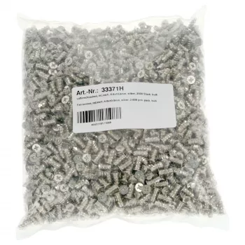 InLine Βίδες ανεμιστήρα 5,0x10,0mm ασημί συσκευασία 2.000 τεμ.