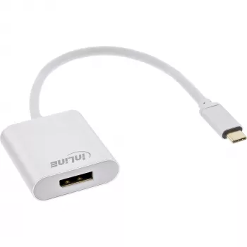 Προσαρμογέας οθόνης USB InLine 64102S USB-C σε DisplayPort 4K 60Hz