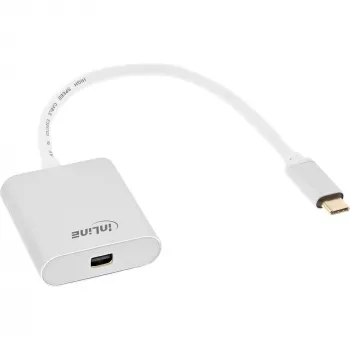 Προσαρμογέας οθόνης USB InLine 64105S βύσμα USB-C σε Mini DisplayPort 4K 60Hz ασημί