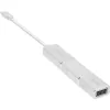 Σετ μετατροπέα οθόνης USB InLine 6-in-1, 4K/60Hz ασημί
