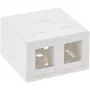 InLine Επιτοίχιο κουτί για Keystone 2x RJ45 λευκό 76202B