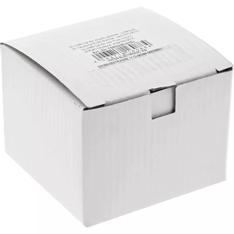 InLine Πρίζα Χωνευτή Cat.6A 2x RJ45 λευκό RAL9010