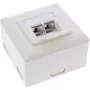 InLine Πρίζα Χωνευτή Cat.6A Εξωτερική 2x Υποδοχή RJ45 RAL9010 λευκό