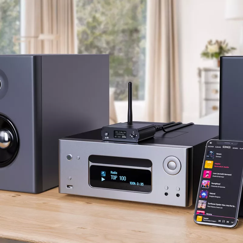 InLine Δέκτης HiFi Bluetooth 5.1 & USB-DAC με LCD εμβέλεια 30m