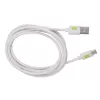 Techly ICOC MUSB20-CMAM20TW Καλώδιο USB USB 2.0 2 m USB A USB C Λευκό